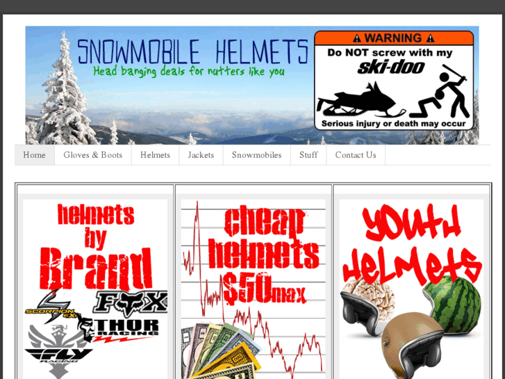 www.prosnowmobilehelmet.com