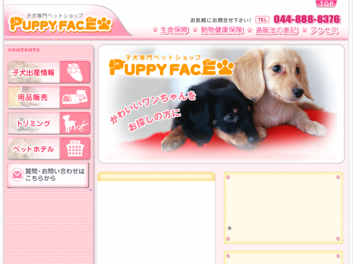 www.puppy-face.com