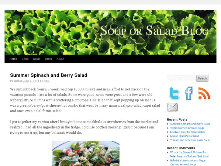 www.souporsaladblog.com