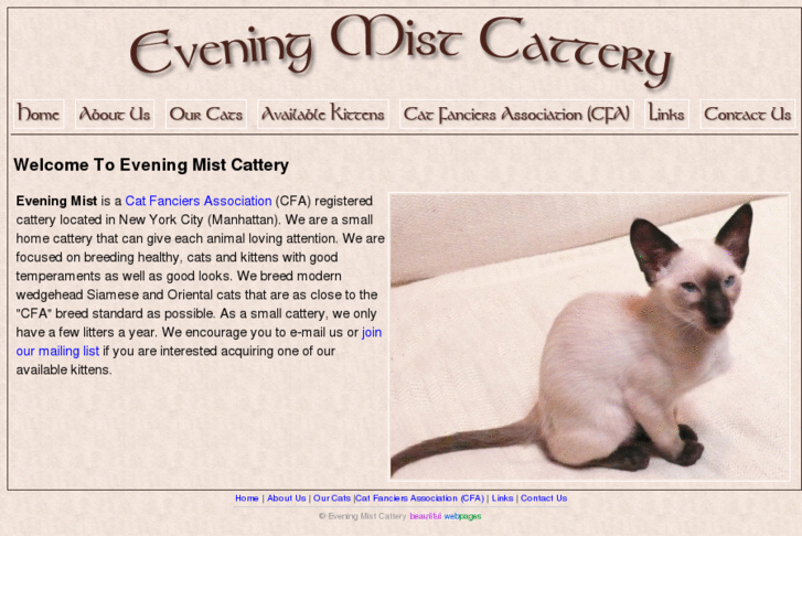 www.eveningmistcattery.com