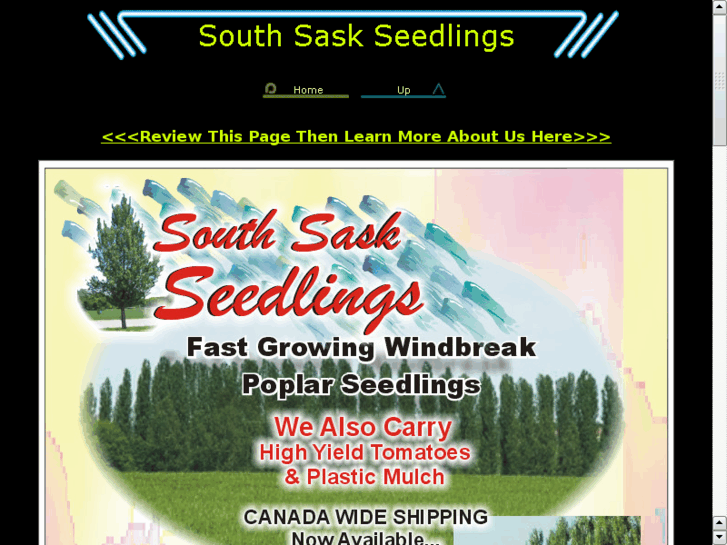 www.southsaskseedlings.com