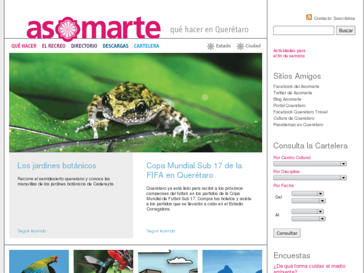 www.asomarte.com