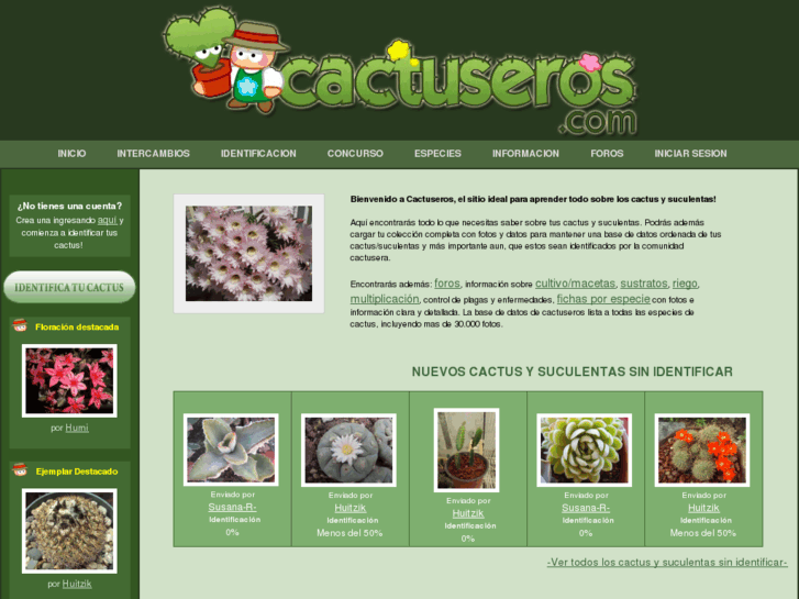 www.cactuseros.com