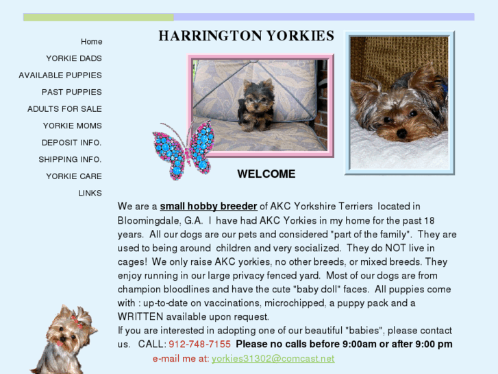 www.harringtonyorkies.com