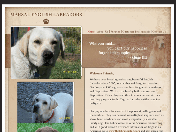 www.marsallabradors.com