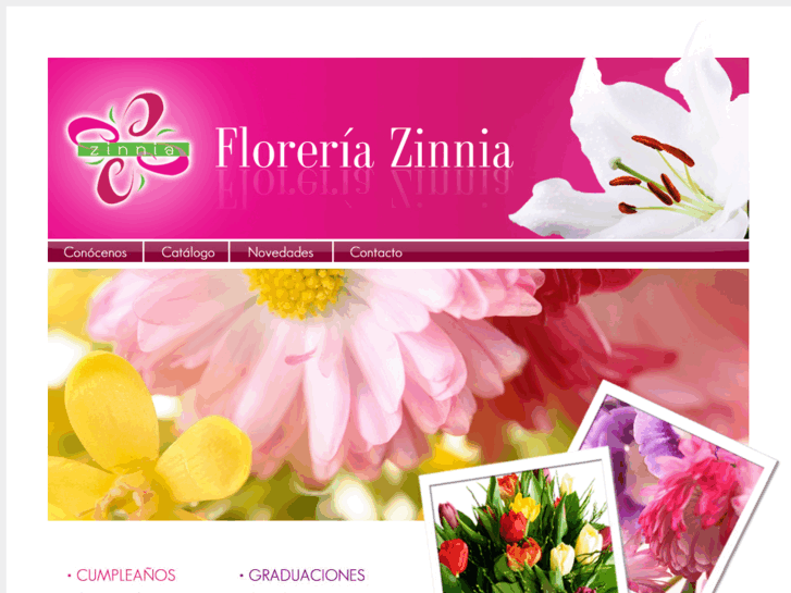 www.floreriazinnia.com