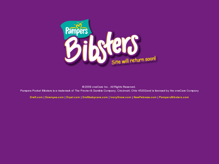 www.pampersbibsters.com