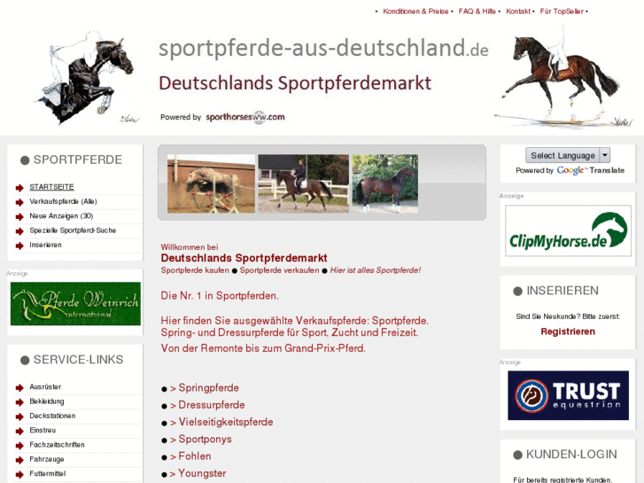 www.sportpferde-aus-deutschland.de