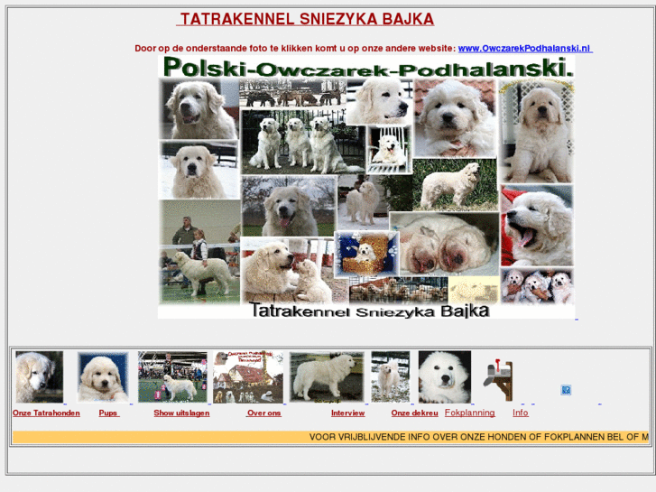 www.tatrahond.com