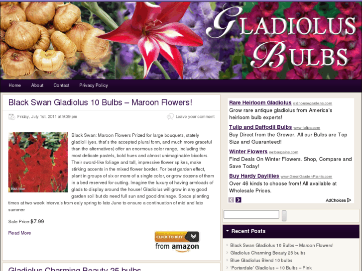 www.gladiolusbulbs.net