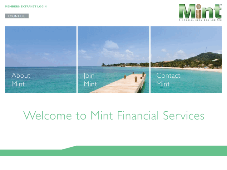 www.mintzone.co.uk