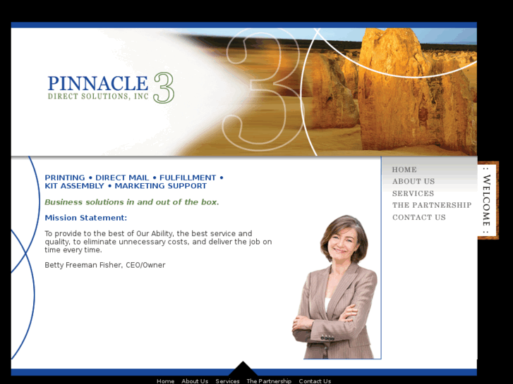 www.pinnacle3directsolutions.com