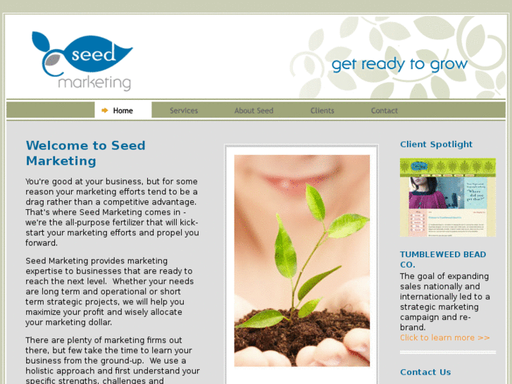 www.seedmarketingllc.com