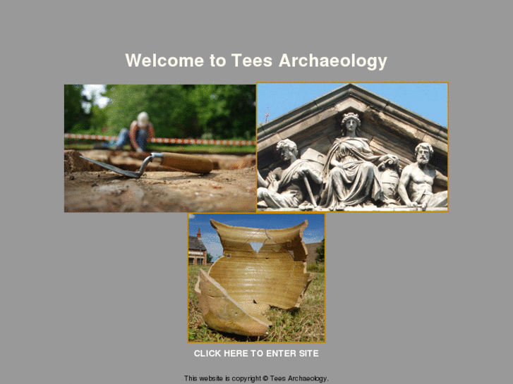 www.teesarchaeology.com