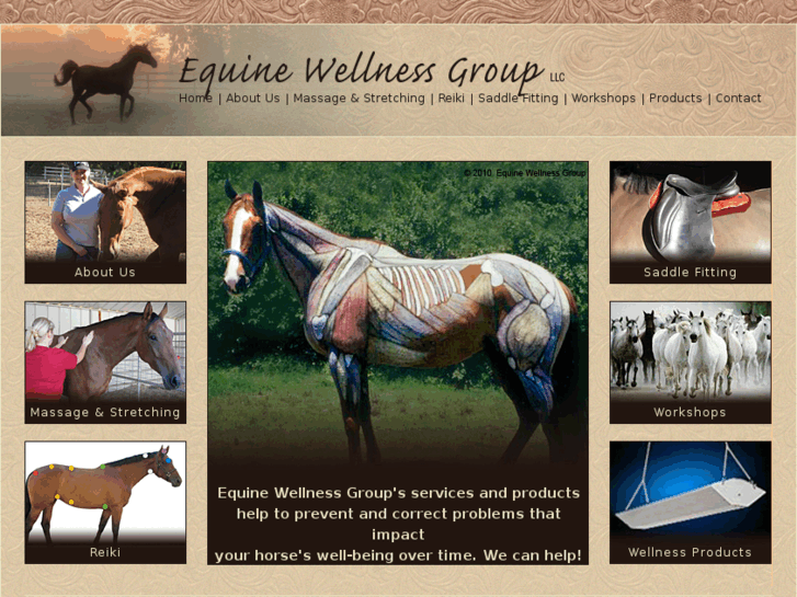 www.equinewellnessgroup.com