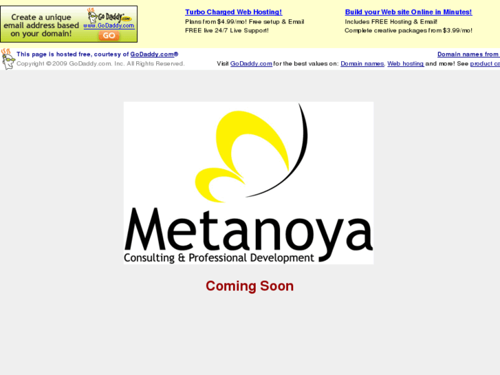 www.metanoyaconsulting.info