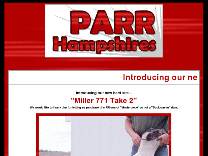 www.parrhampshires.com