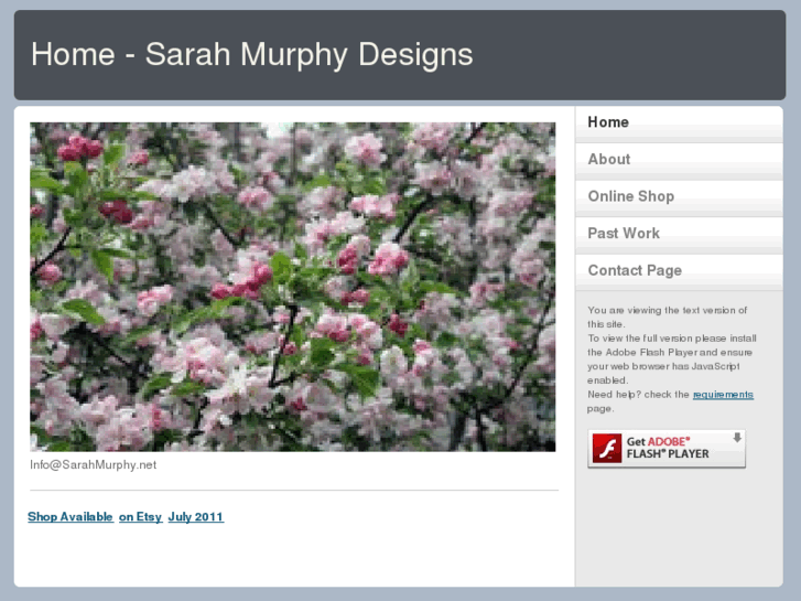 www.sarahmurphy.net