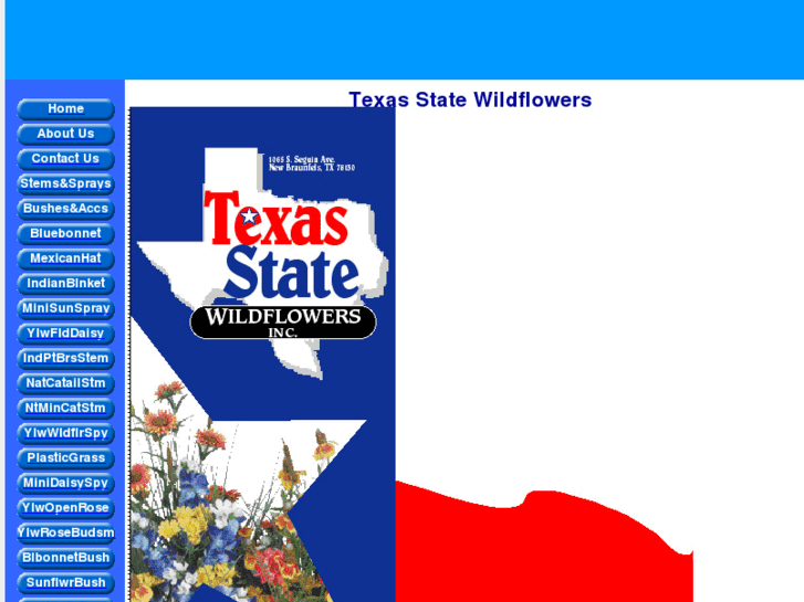 www.texasstatewildflowers.com