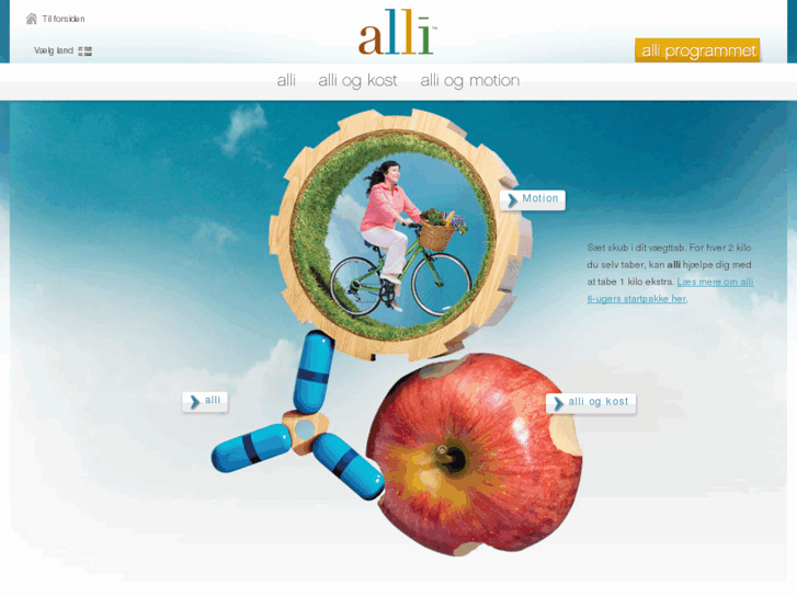 www.alliplan.dk