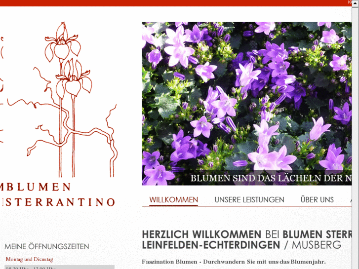 www.blumen-sterrantino.com