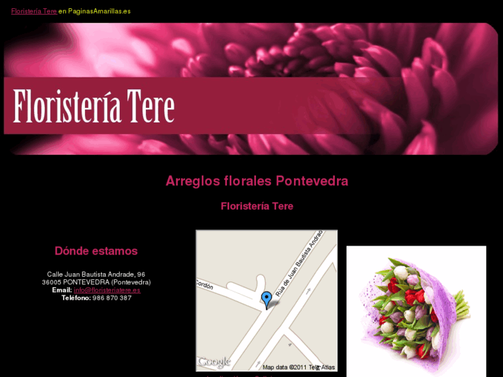 www.floristeriatere.es