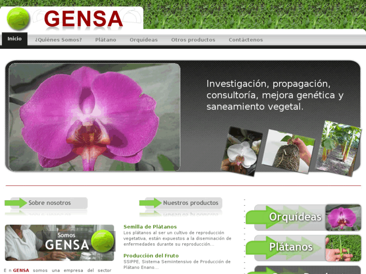 www.gensa.com.sv