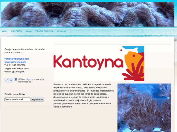 www.kantoyna.com