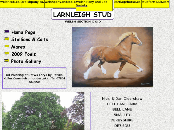 www.larnleighstud.com