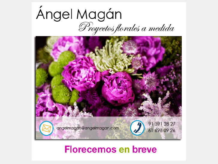 www.angelmagan.com