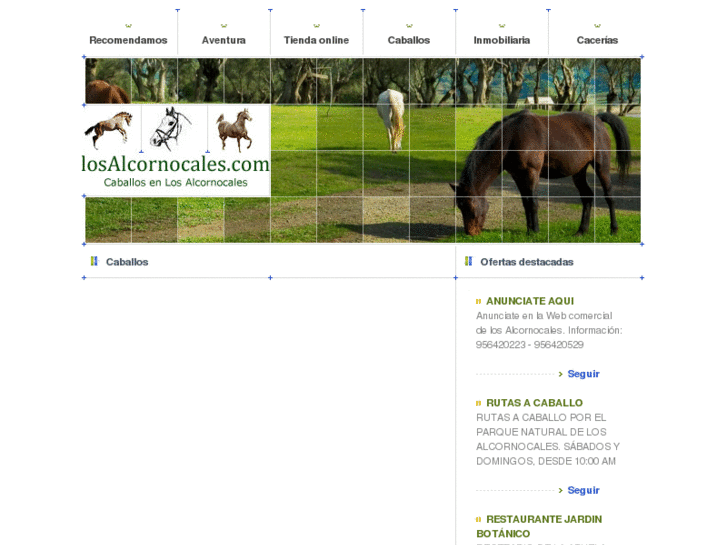 www.caballosandalucia.com