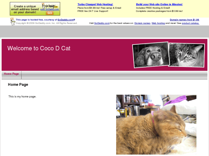 www.cocodcat.info