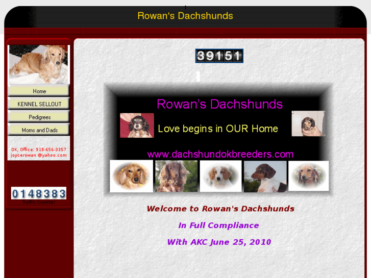 www.dachshundokbreeders.com