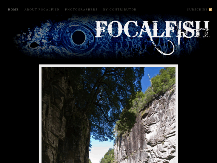 www.focalfish.com