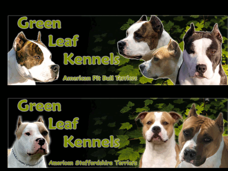 www.greenleafkennels.com