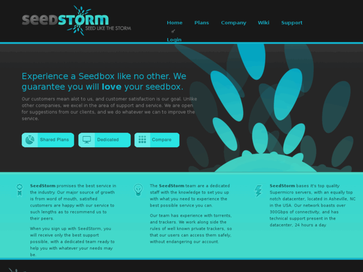 www.seedstorm.net