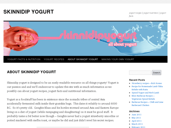 www.skinnidipyogurt.com