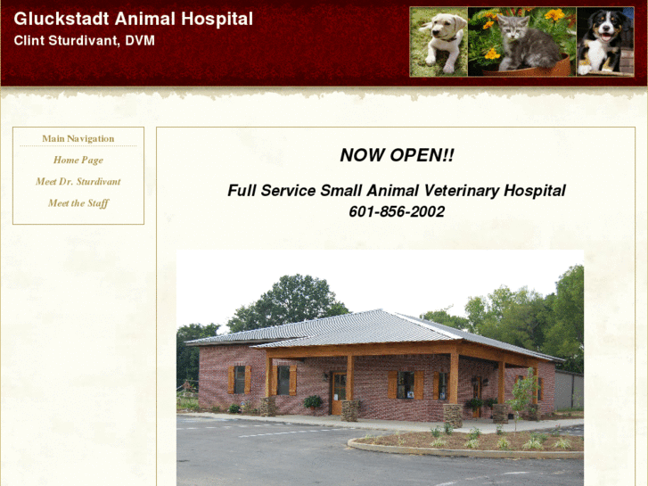 www.gluckstadtanimalhospital.com