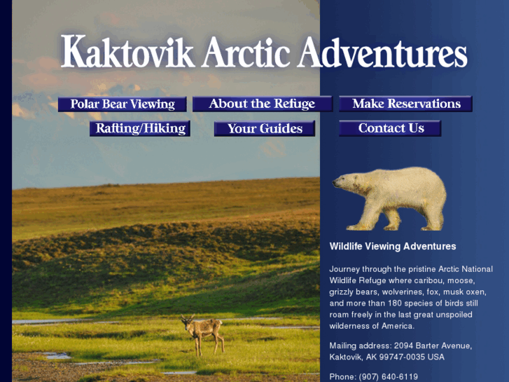 www.kaktovikadventures.com