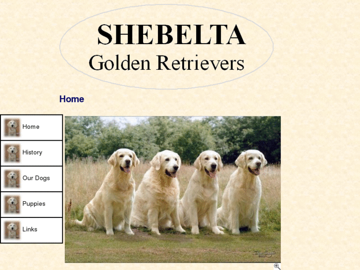 www.shebelta.co.uk