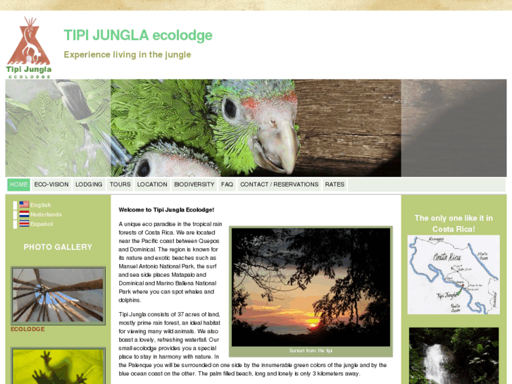 www.tipijungla.com