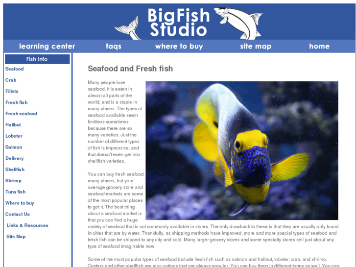 www.bigfishstudio.com