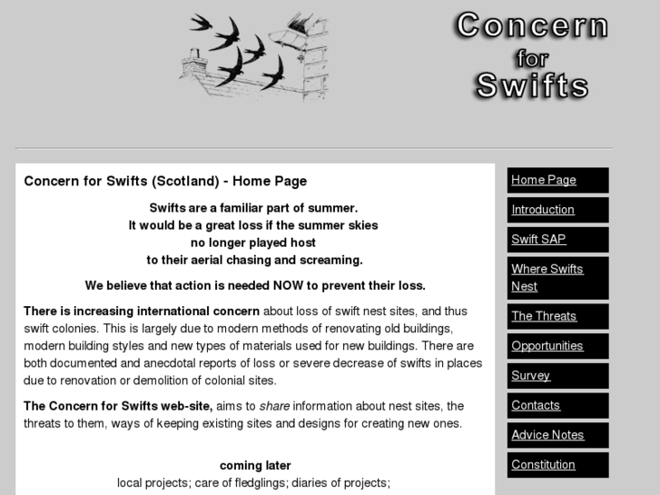 www.concernforswifts.com