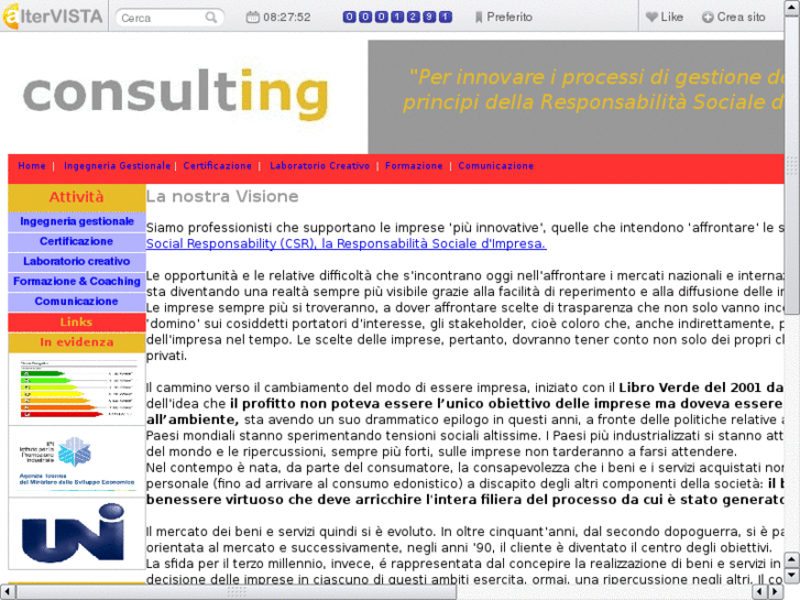 www.consult-ing.biz