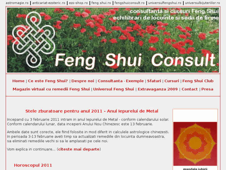 www.feng-shui-consult.ro