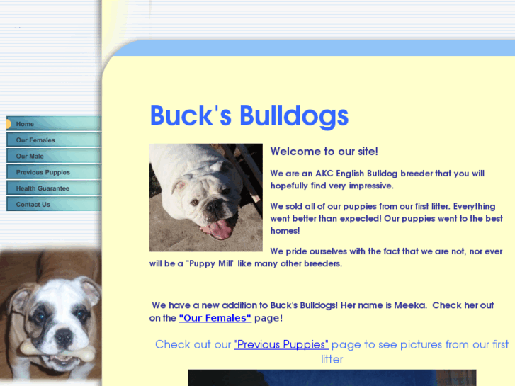 www.bucksbulldogs.com