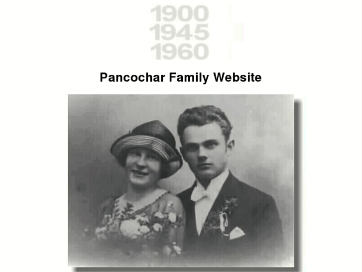 www.pancochar.com