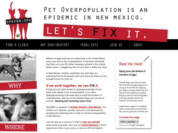 www.spaynm.org