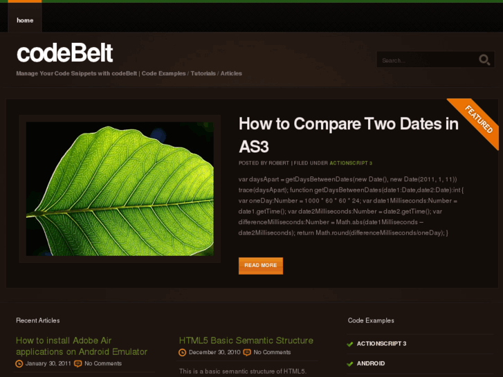 www.codebelt.com