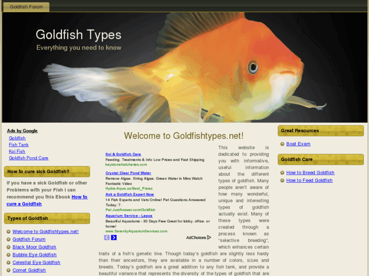 www.goldfishtypes.net